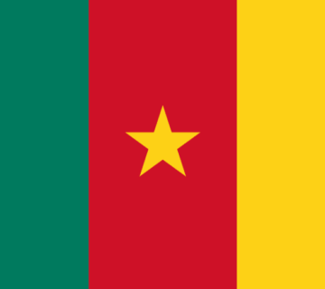 Cameroon Flag